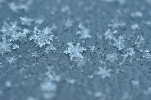 snowflakes